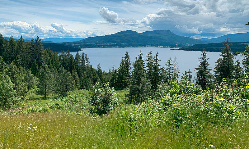 19 Acres Waterfront ...