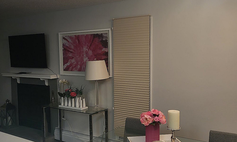 2 Bed 1 Bath Condo I...