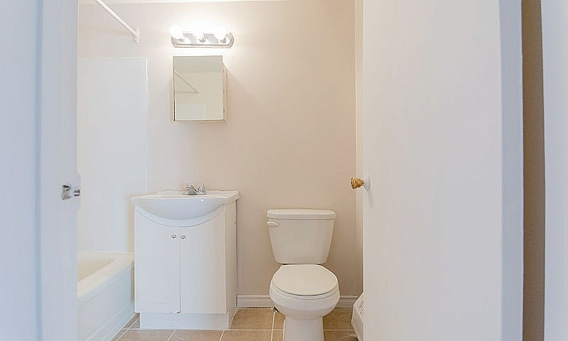 Executive 1-Br Suite...