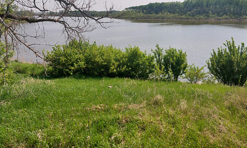 Picturesque Acreage...
