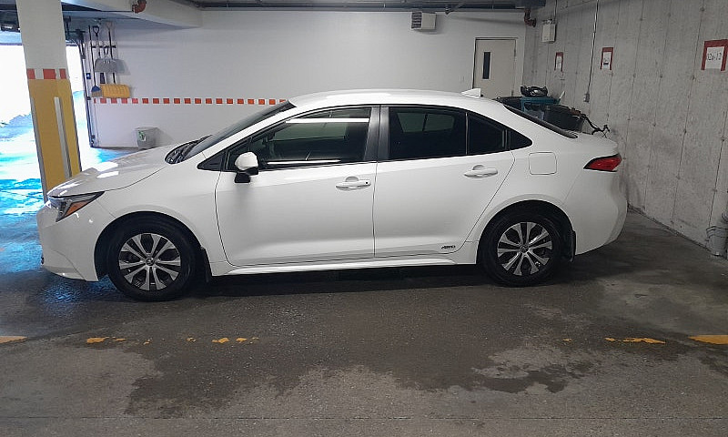 2023 Toyota Corolla ...
