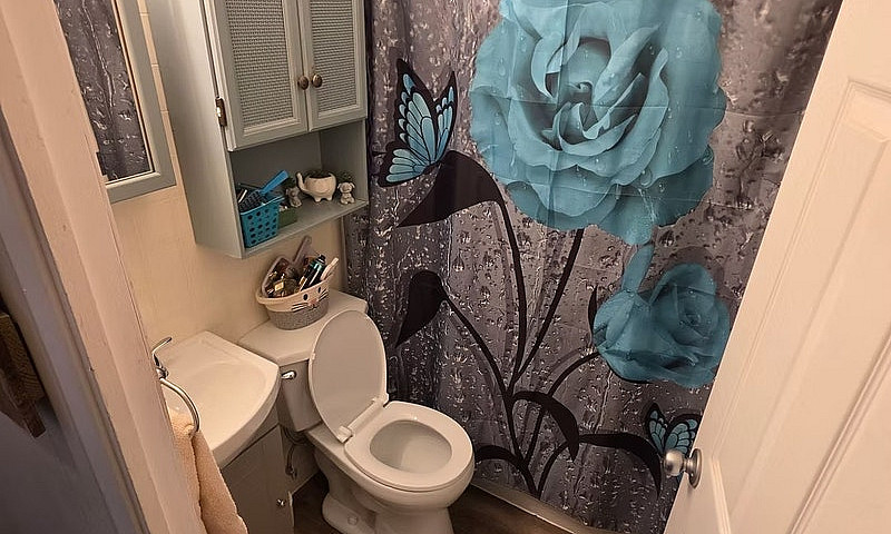 4 Bedroom, 1 Bath Ho...