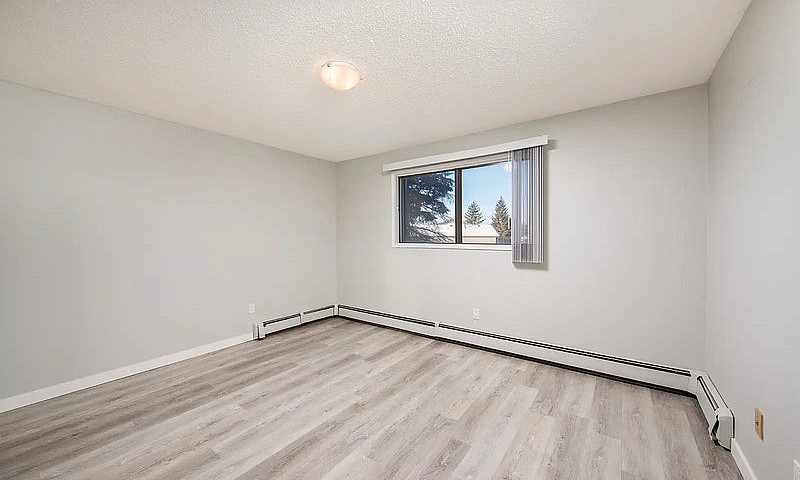 2 Bedroom 1 Bath Apa...