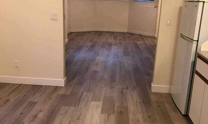 Beautiful Basement S...