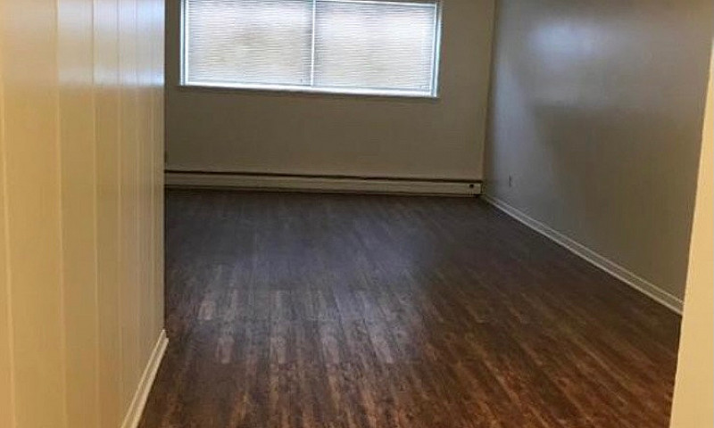 ** Elmwood Area ** S...