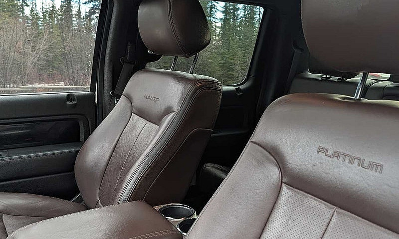 2012 F-150 Platinum ...