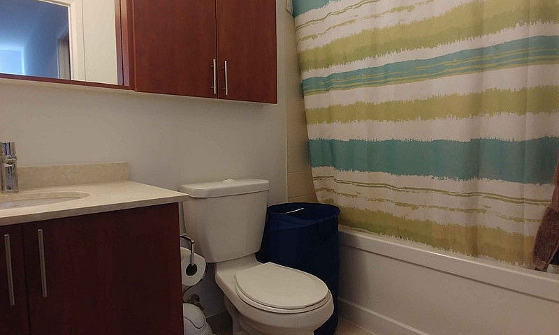 One Bedroom Luxury C...