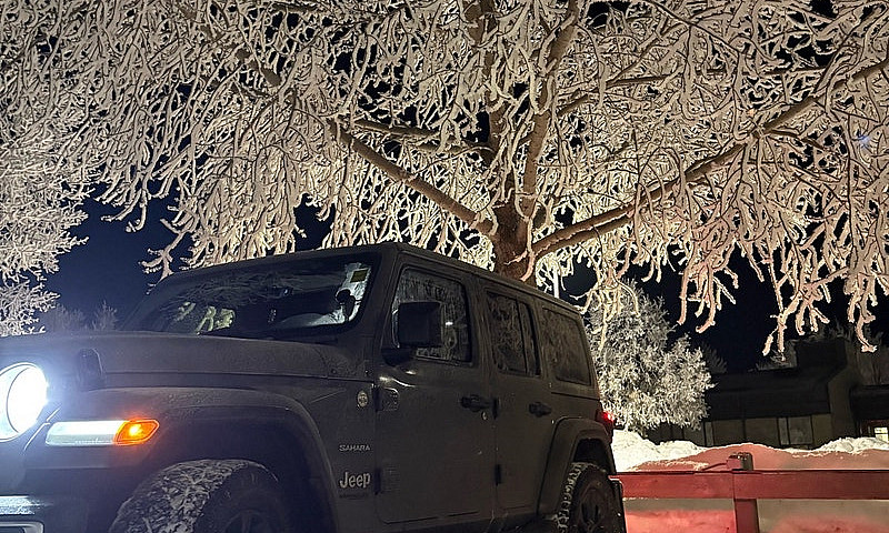 2019 Jeep Wrangler ...