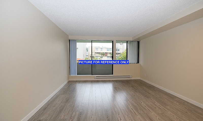 One Bedroom Apartmen...