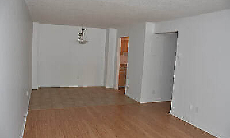 Logements    A   Lou...