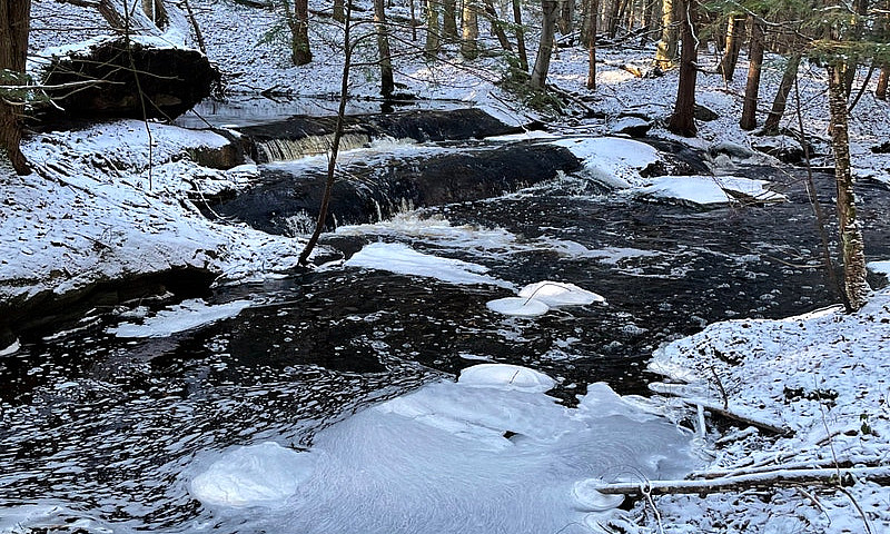 212 Acres Muskoka La...