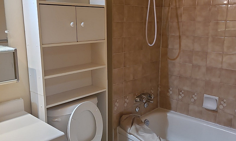 2Br Condo Near U Of ...