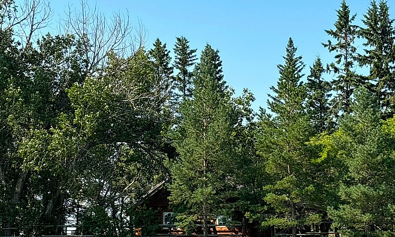 For Sale House, Log ...