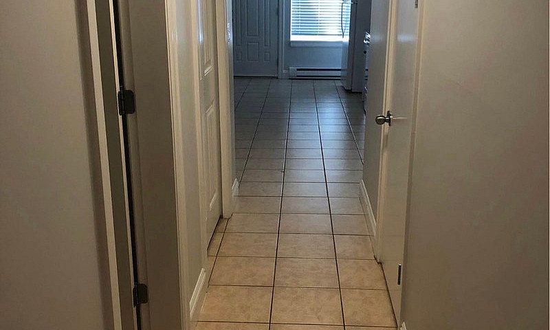 2 Bedroom Basement ...