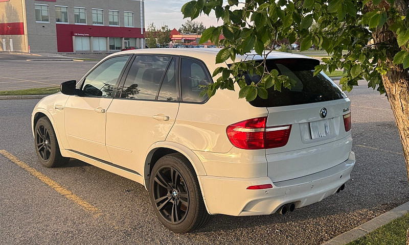 2010 Bmw X5 M...