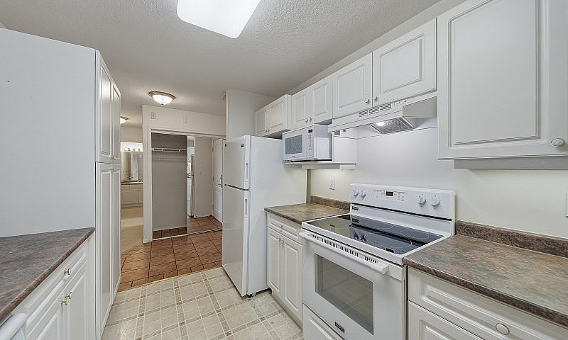 104 2169 Flamingo Ro...