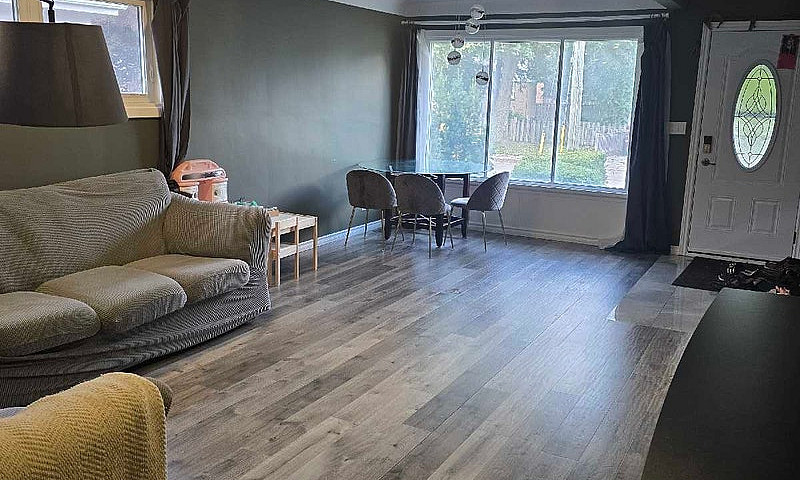3 Bd - House For Ren...
