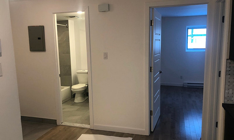 Renovated One Bedroo...