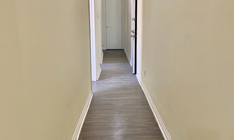 Newly Renovated Apar...