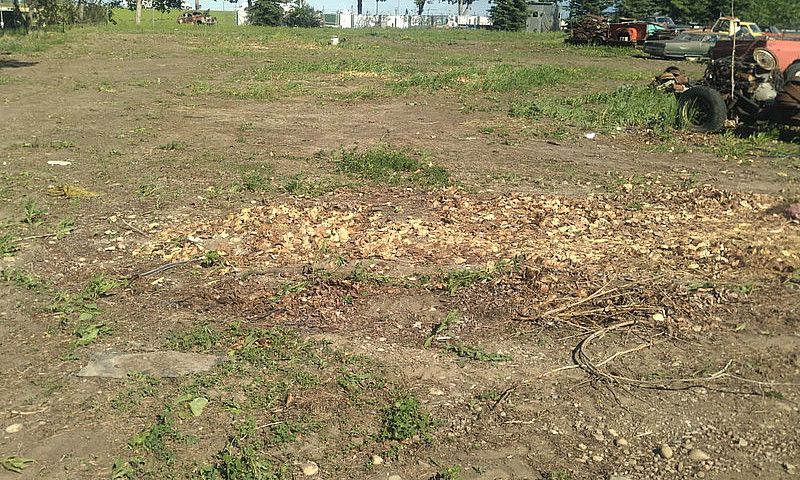 Two Lots, In Central...