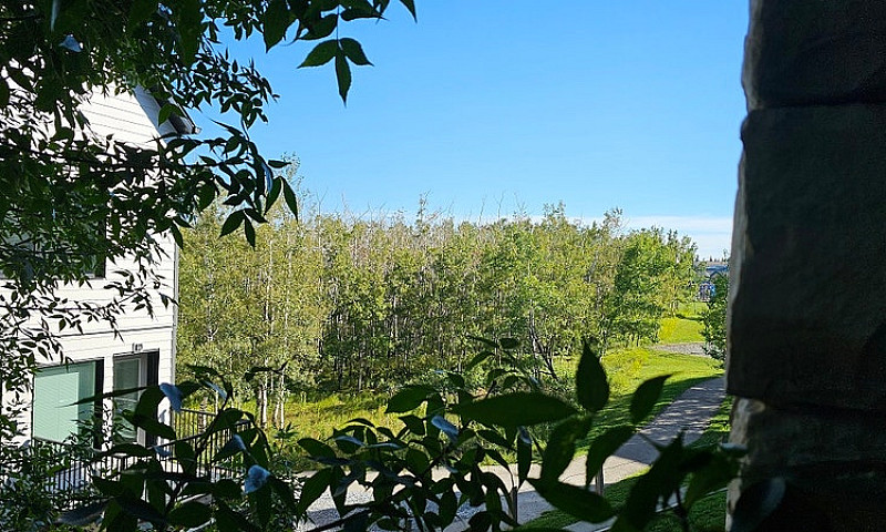 Condo For Sale - 321...