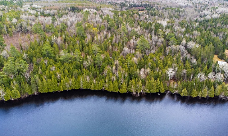 Waterfront 1 Acres L...