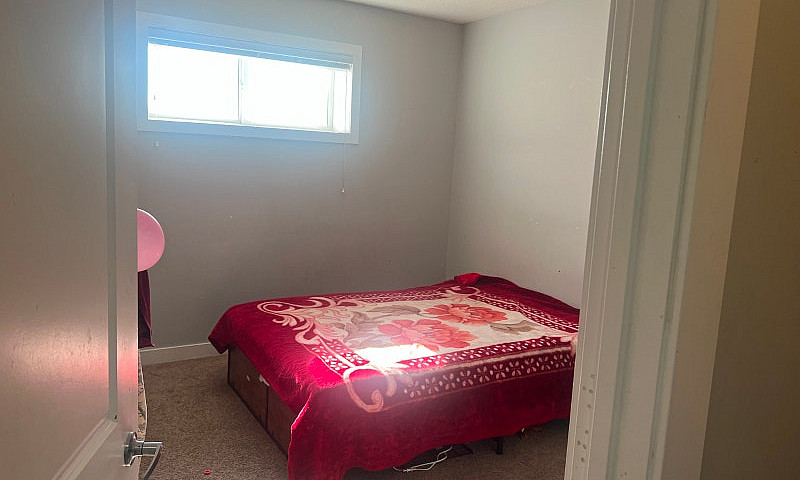 Savanna 2 Bedrooms -...