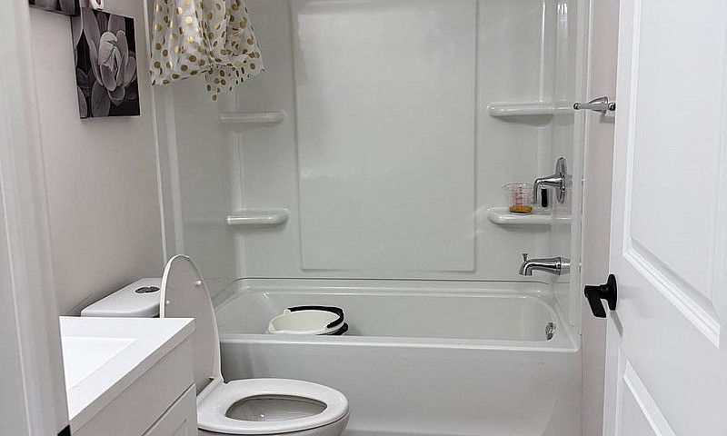 One Bedroom Basement...