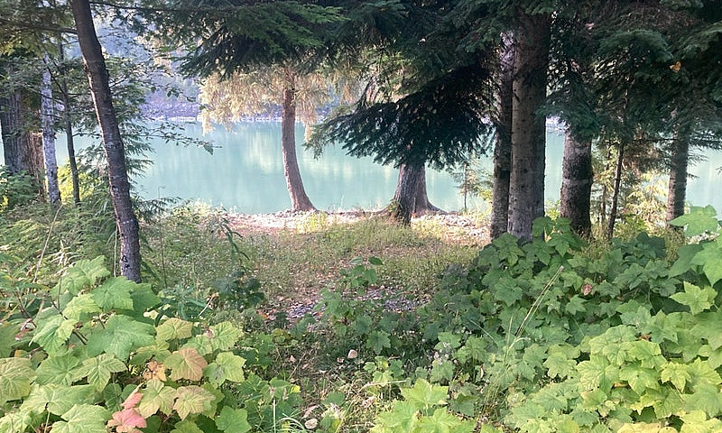 Home On Acreage And ...