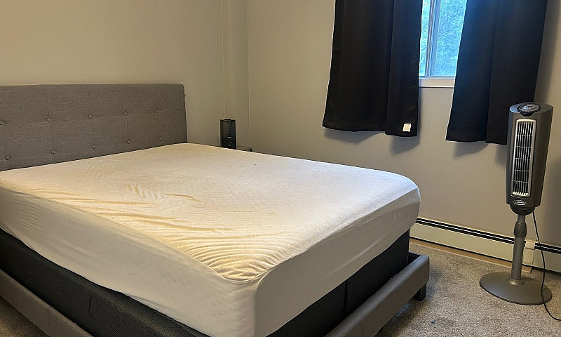 Renovated 1 Bed Apar...