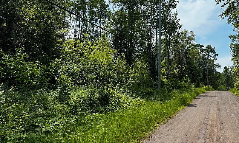 12 Acre Building Lot...