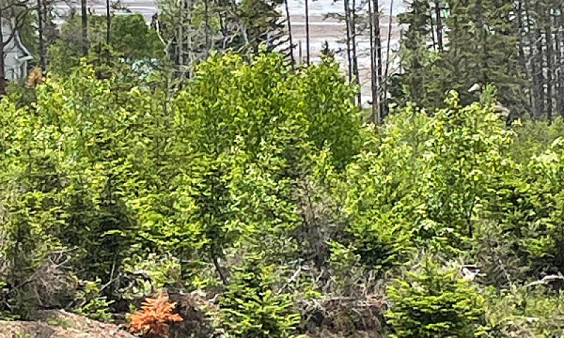 10 Acres Overlooking...