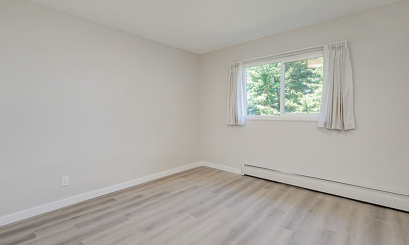 Renovated, Bright, S...