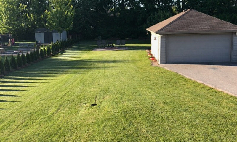 House For Sale In Am...