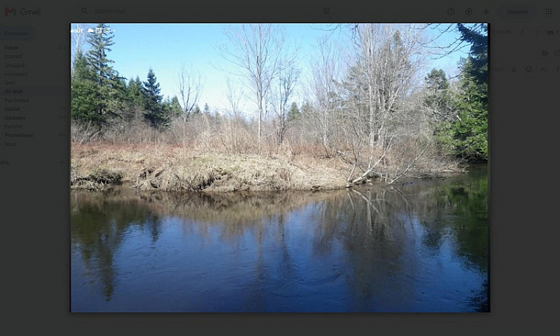 Riverfront Land For ...