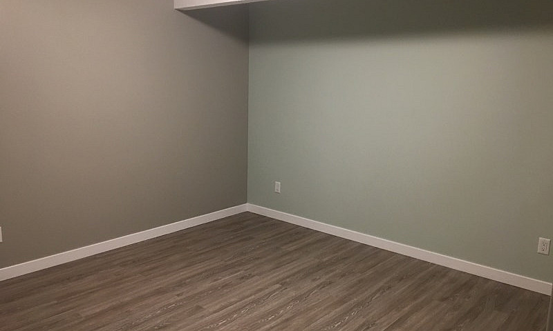Secondary Basement R...