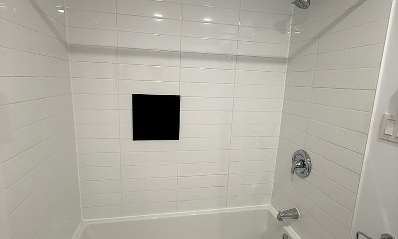 3 1/2 Newly Renovate...