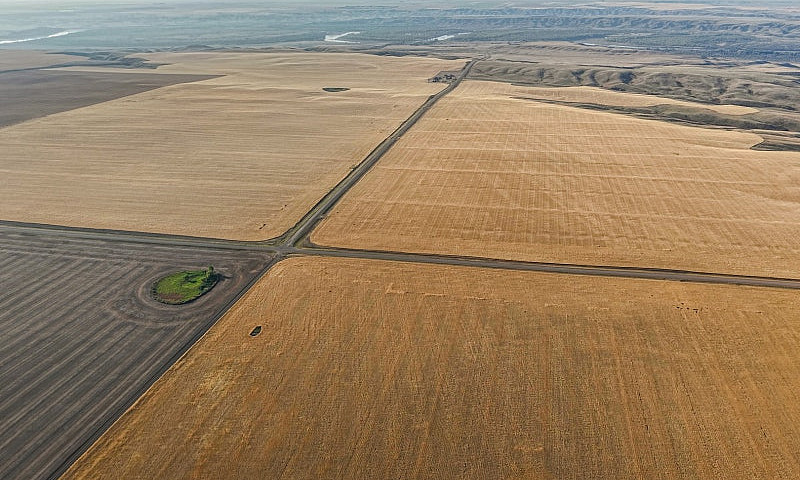 17Q Of Grain Land Al...