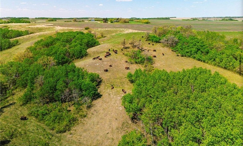 Land Forsale...