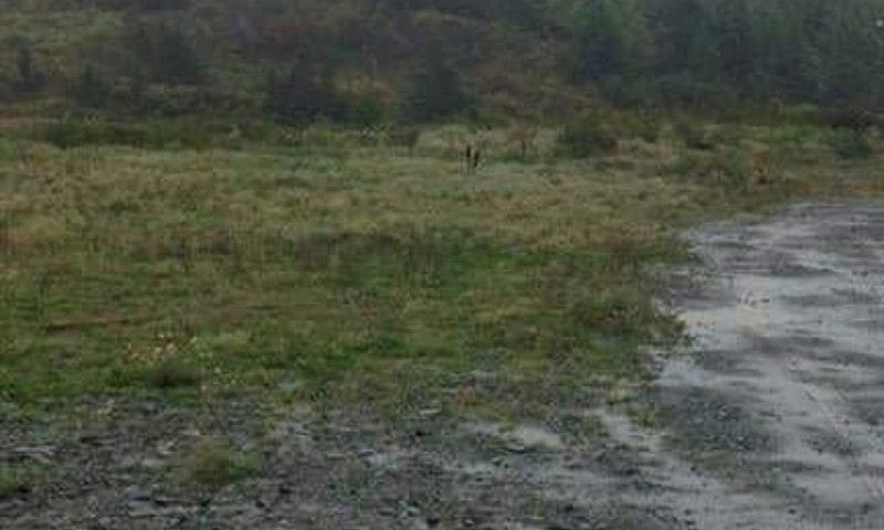 For Sale!!! 1/2 Acre...