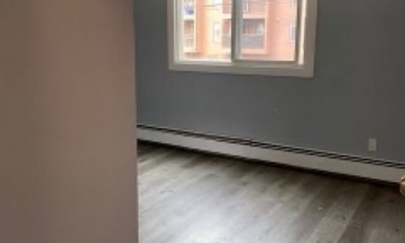 1 Bed 1 Bath Apartme...