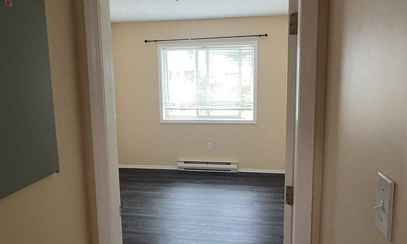 1 Bedroom Apartment ...