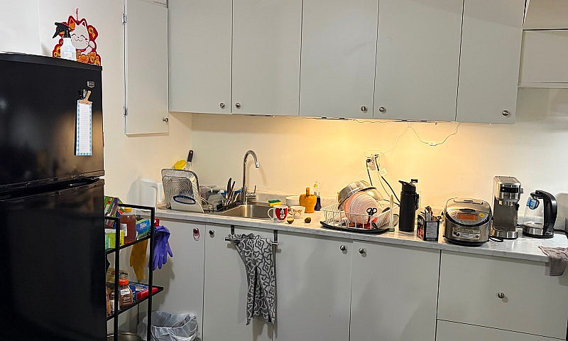 Basement Rental...