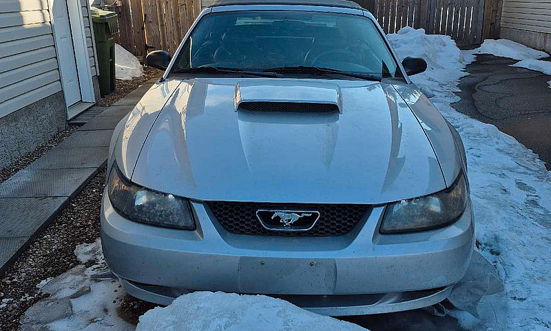 2003 Mustang Gt Conv...