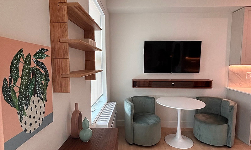 Furnished Studio Apa...