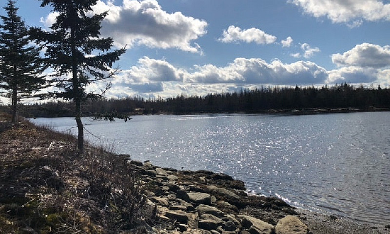 Nova Scotia Waterfro...