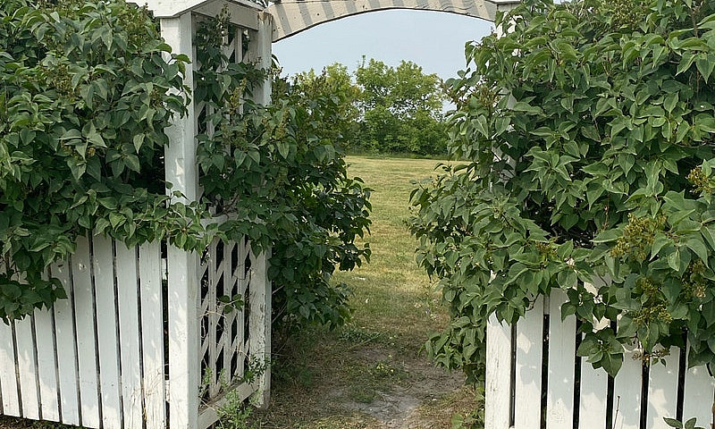 Hague Acreage For Sa...