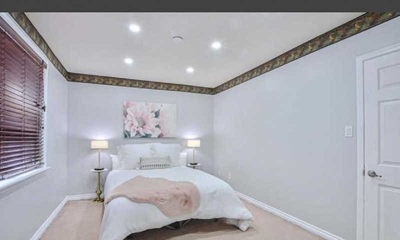 3 Bed 1 Bath Main Fl...