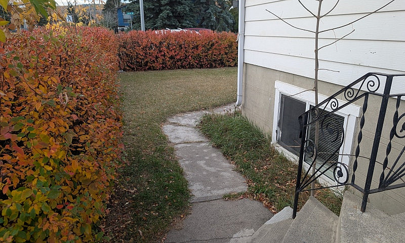 Cozy 1 Bed, 1 Bath B...