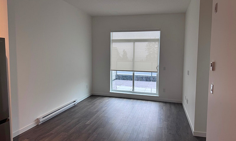 2 Bed 2 Bath Apartme...